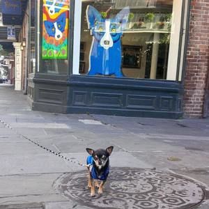 Meet your Posher, Nancy